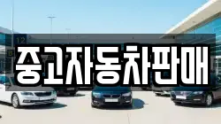 중고자동차판매