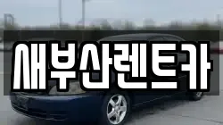 새부산렌트카
