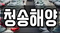 청송해양
