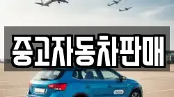 중고자동차판매