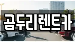 부산광역시 금정구 장전동 렌트카,단기렌트카,장기렌트카,중고차,중고차매매,중고차매입