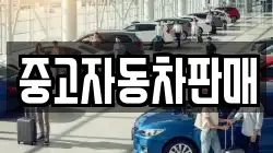 중고자동차판매