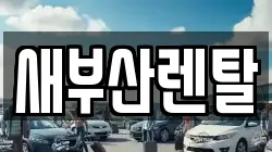 부산광역시 금정구 회동동 렌트카,단기렌트카,장기렌트카,중고차,중고차매매,중고차매입
