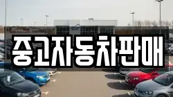 중고자동차판매