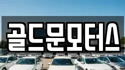 골드문모터스