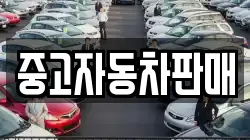 중고자동차판매
