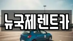 뉴국제렌트카