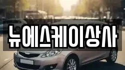 뉴에스케이상사