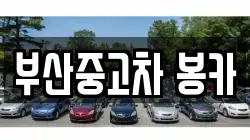 부산중고차 봉카