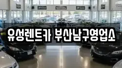 부산광역시 남구 대연동 렌트카,단기렌트카,장기렌트카,중고차,중고차매매,중고차매입