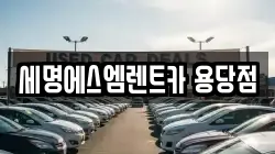 세명에스엠렌트카 용당점