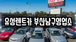 유성렌트카 부산남구영업소