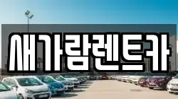 부산광역시 동구 좌천동 렌트카,단기렌트카,장기렌트카,중고차,중고차매매,중고차매입