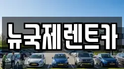 뉴국제렌트카