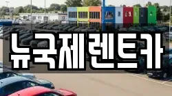 뉴국제렌트카