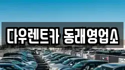 부산광역시 동래구 렌트카,단기렌트카,장기렌트카,중고차,중고차매매,중고차매입