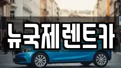 뉴국제렌트카