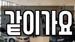 같이가요