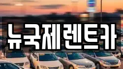 뉴국제렌트카