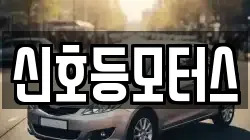 신호등모터스
