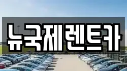 뉴국제렌트카