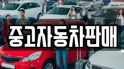 중고자동차판매