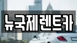 뉴국제렌트카
