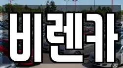 비렌카