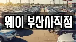 웨이 부산사직점