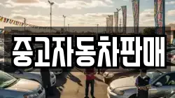 중고자동차판매