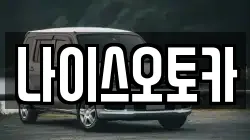 나이스오토카