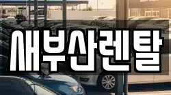 부산광역시 부산진구 연지동 렌트카,단기렌트카,장기렌트카,중고차,중고차매매,중고차매입