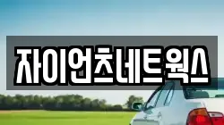 자이언츠네트웍스