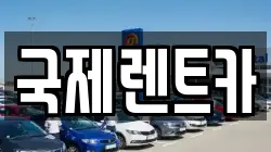 국제렌트카