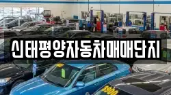 신태평양자동차매매단지