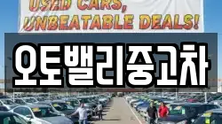 오토밸리중고차