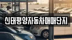 신태평양자동차매매단지