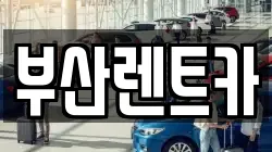 부산광역시 사상구 주례동 렌트카,단기렌트카,장기렌트카,중고차,중고차매매,중고차매입