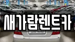 새가람렌트카