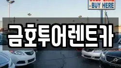 부산광역시 사하구 장림동 렌트카,단기렌트카,장기렌트카,중고차,중고차매매,중고차매입