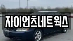 자이언츠네트웍스