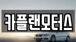 카플랜모터스