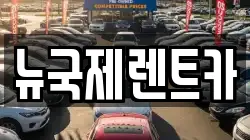 뉴국제렌트카