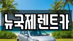뉴국제렌트카