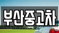 부산중고차
