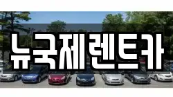 뉴국제렌트카