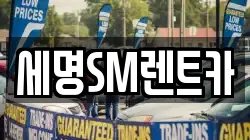 부산광역시 영도구 동삼동 렌트카,단기렌트카,장기렌트카,중고차,중고차매매,중고차매입
