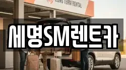 부산광역시 영도구 신선동2가 렌트카,단기렌트카,장기렌트카,중고차,중고차매매,중고차매입