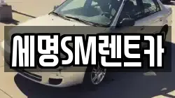 부산광역시 영도구 신선동3가 렌트카,단기렌트카,장기렌트카,중고차,중고차매매,중고차매입