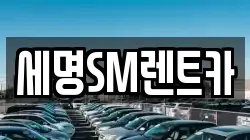 부산광역시 영도구 청학동 렌트카,단기렌트카,장기렌트카,중고차,중고차매매,중고차매입